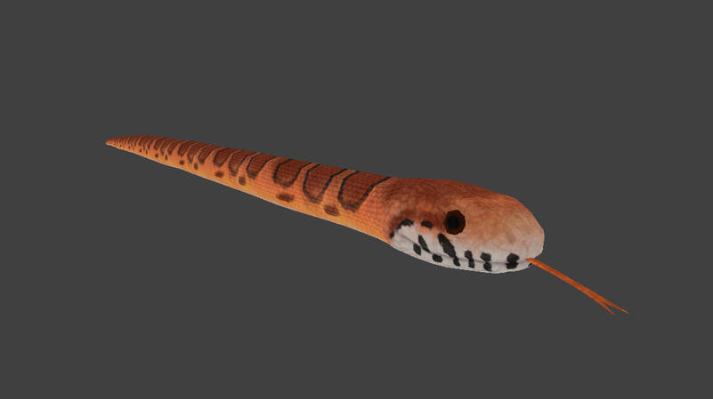Corn Snake (PZ Model &amp; Texture)